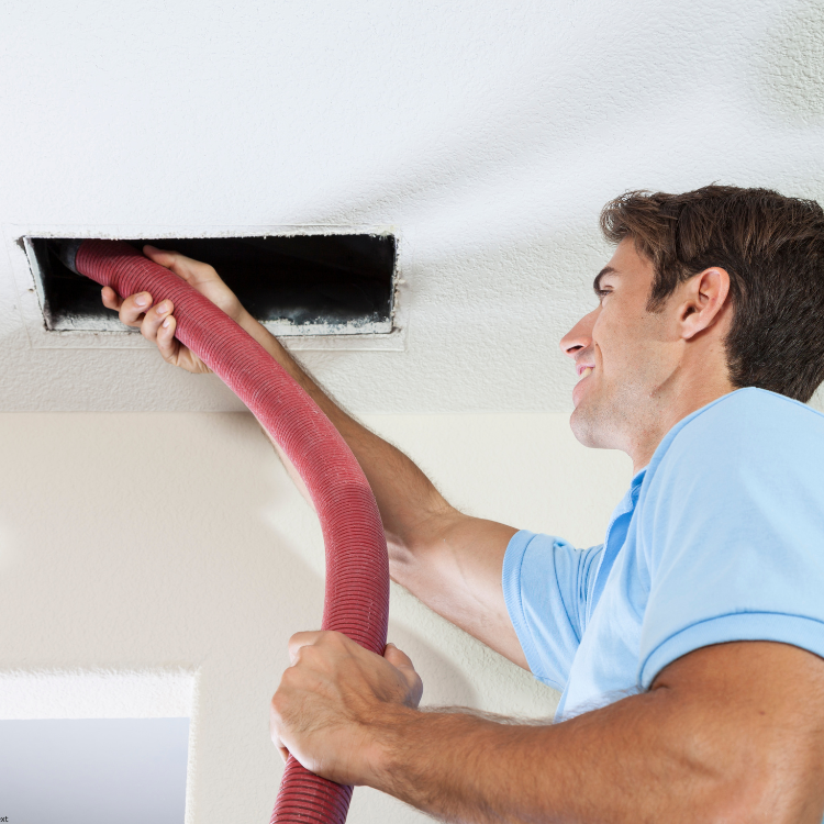 Pink Abstract Handwritten Brand Logo (4)